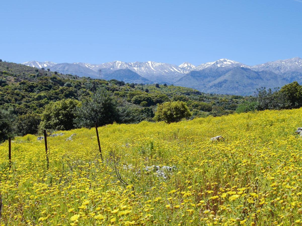 Villa Amvrosia Nr Kalives Crete Arménoi Exteriör bild